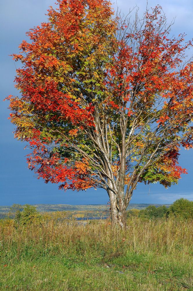 Photograph by Антон Кремер