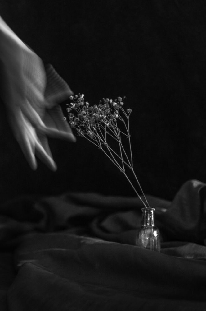 Photograph by Анастасия