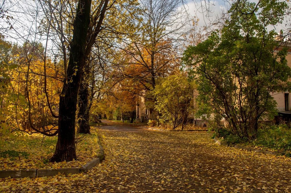 Photograph by Анастасия
