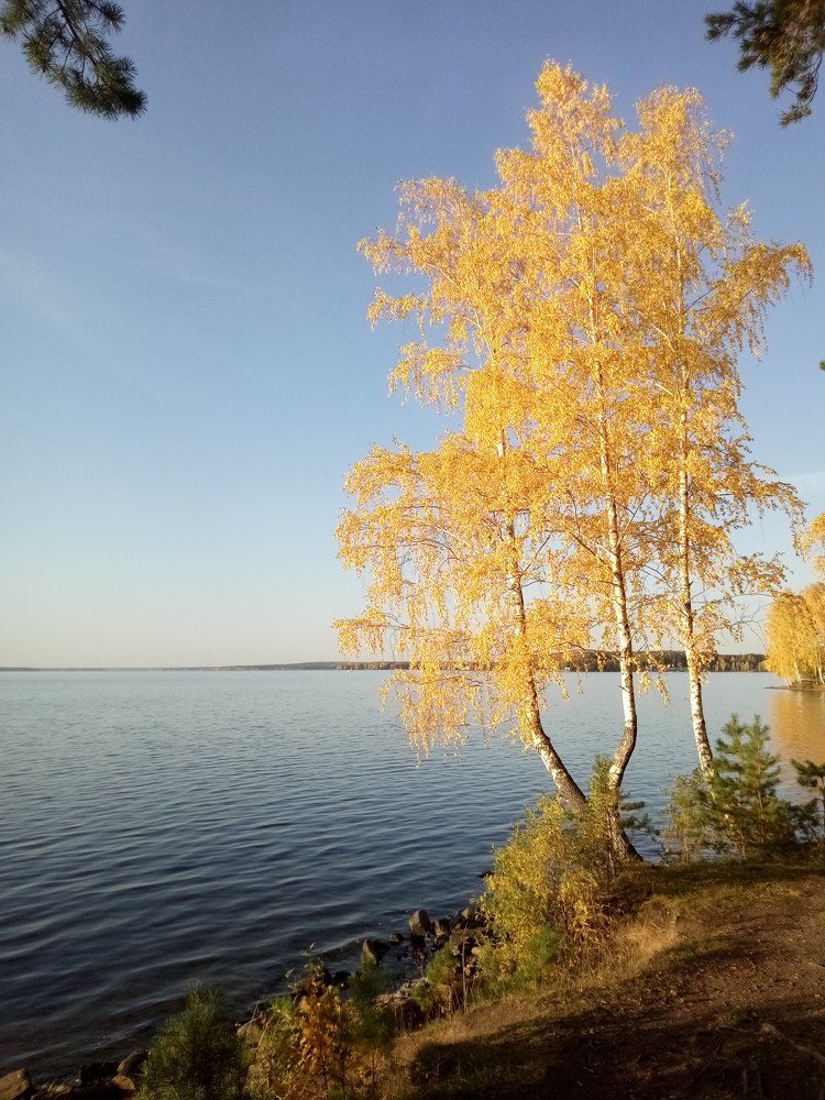Photo #9566408