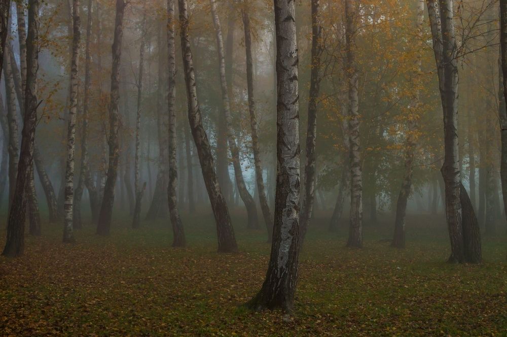 Photograph by Анастасия