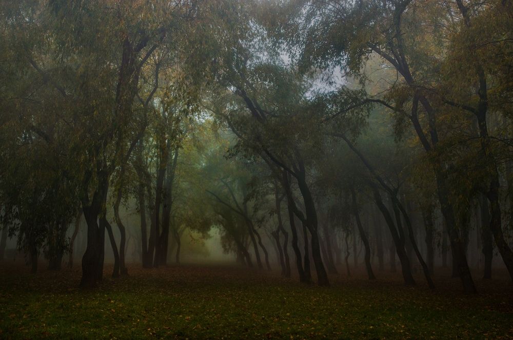 Photograph by Анастасия