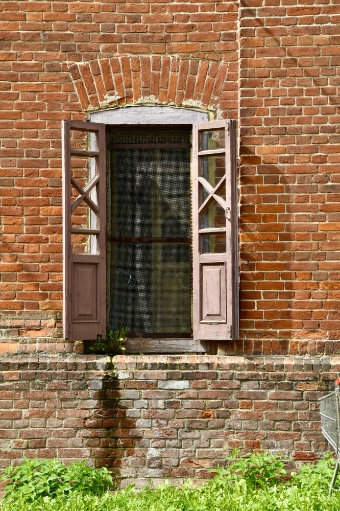 Photograph by Светлана Поляничева
