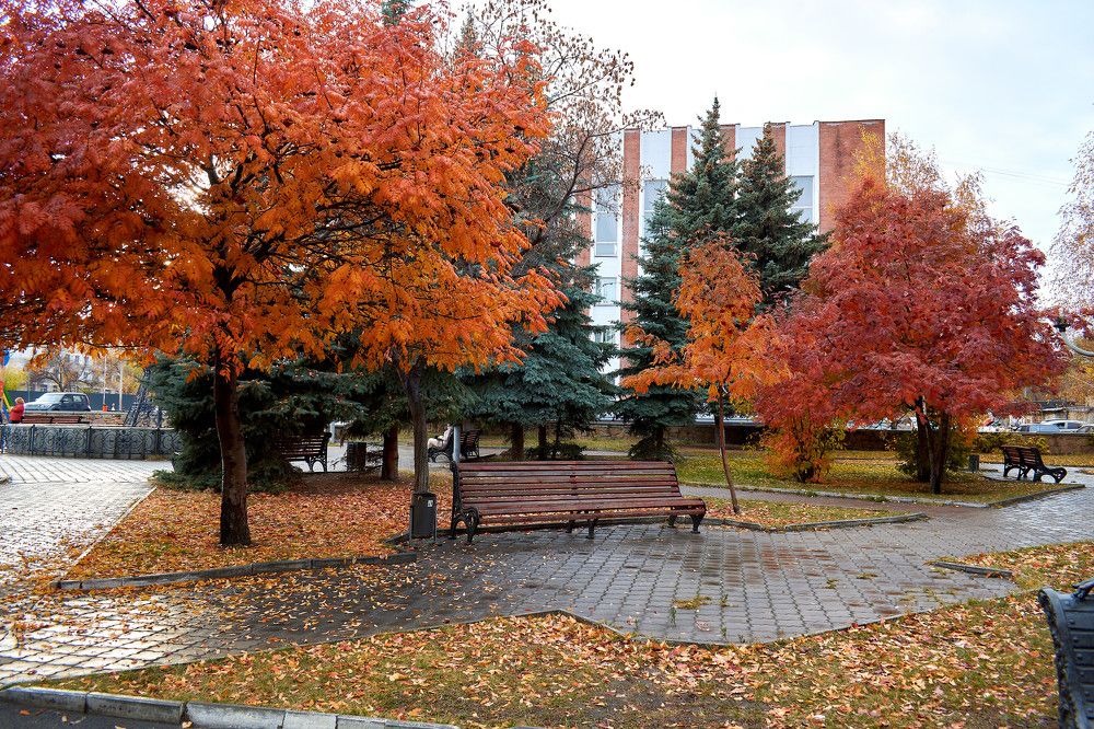 Photograph by Марат Шайхиев