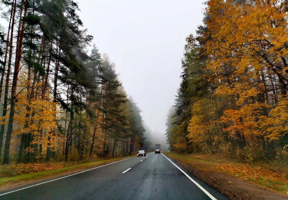 По дороге в осень