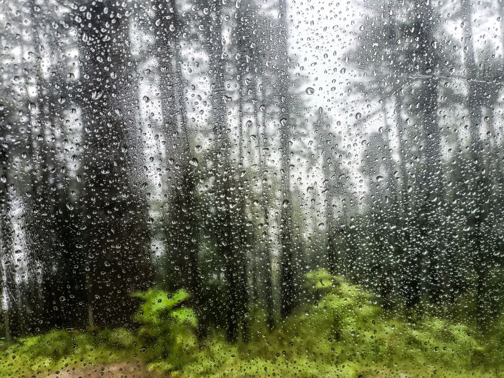 Photograph by Musaib iqbal bhat