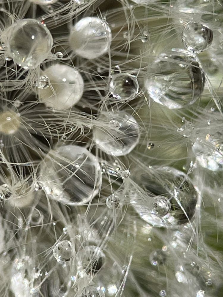 Фотография автора Рамзия Хисамутдинова