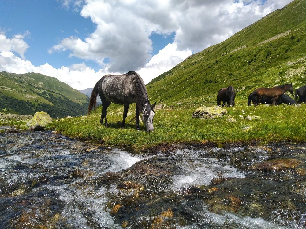 Photograph by Зорин Миша