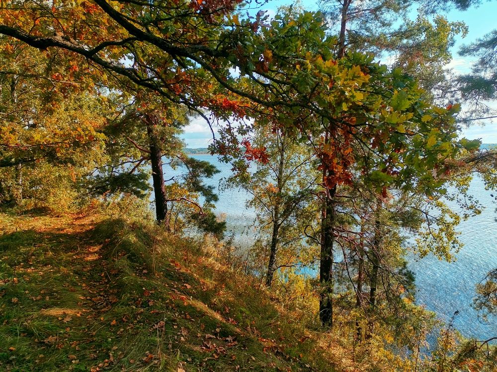 Осень на Браславских озерах