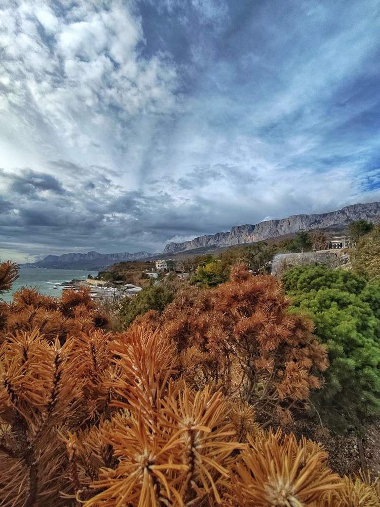 Photograph by Наталья Прекрасная