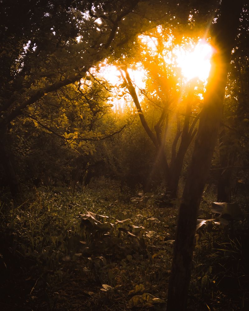 Photograph by Yasin Rezapour