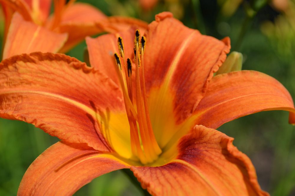 Photograph by Марина Магадиева