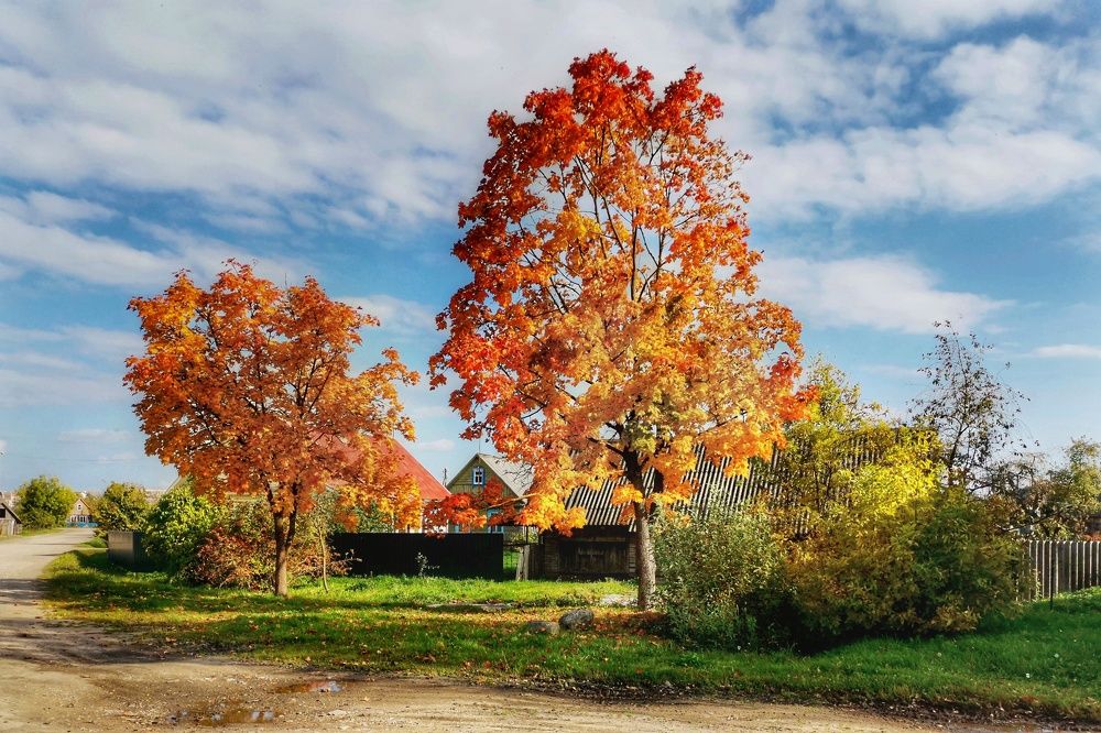 Улица Осенняя