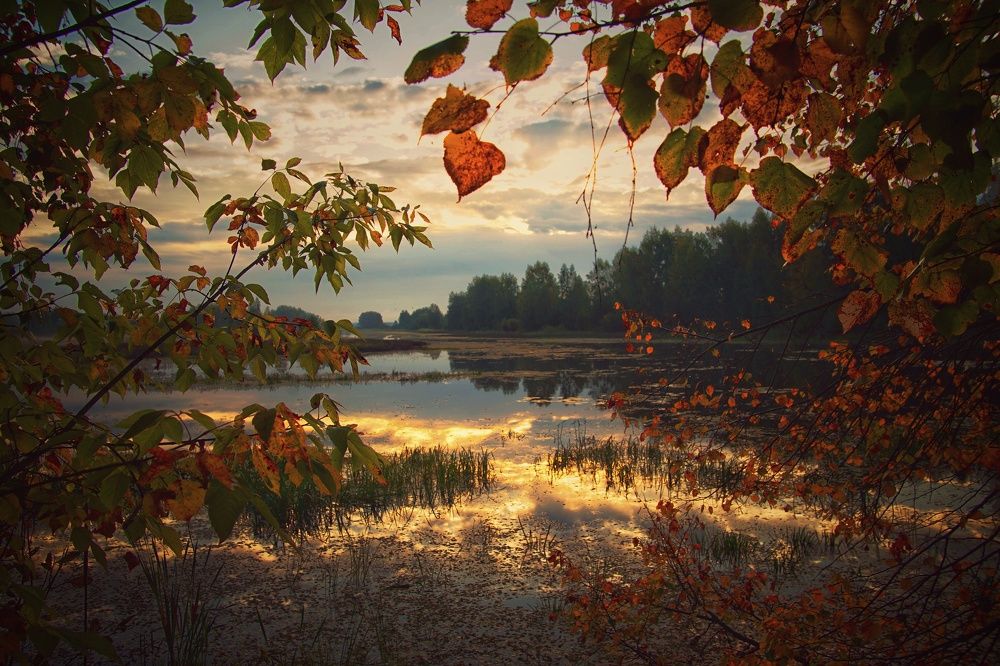 Photograph by Евгений Калагаев