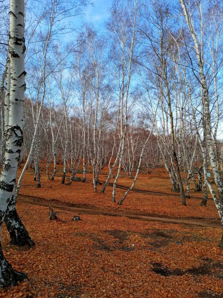 Photograph by Александра Королёва