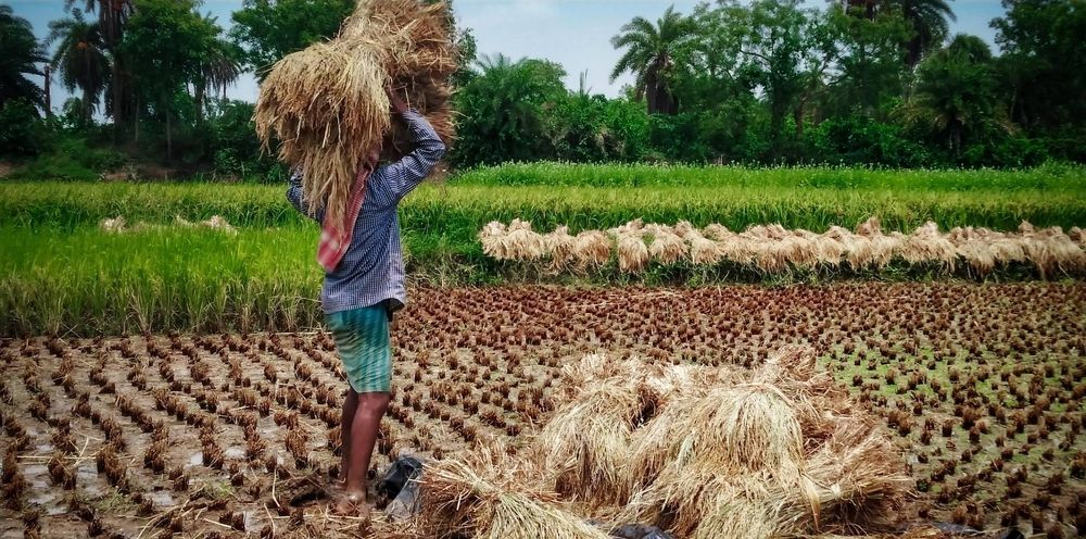 Photograph by Sourav pramanik