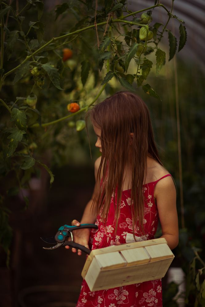Photograph by Анна Рыжковская