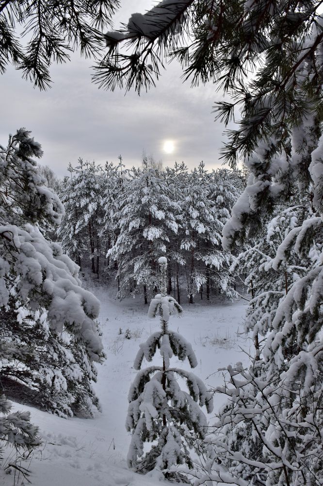 Photograph by Aleksander Perevolotsky