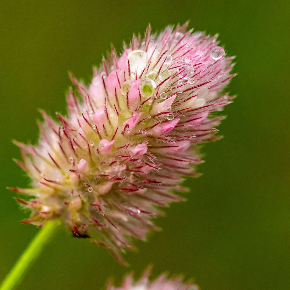 Photograph by Наталья