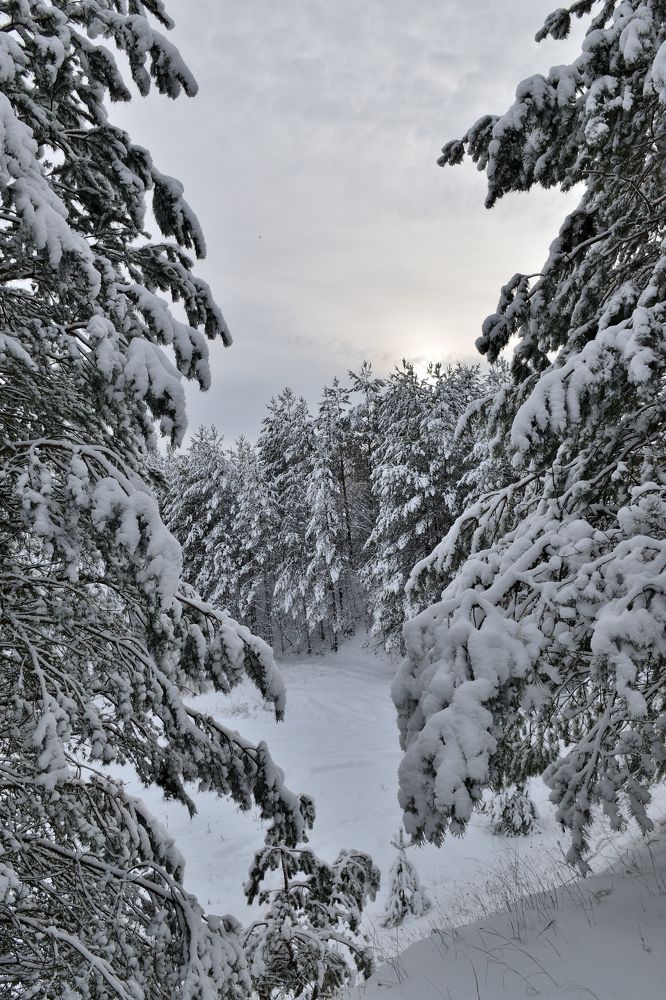 Photograph by Aleksander Perevolotsky