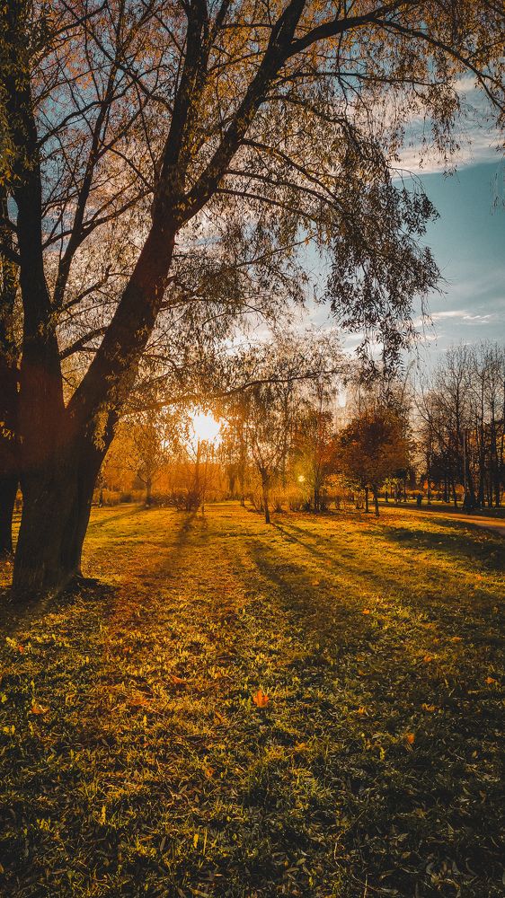 Фотография автора Марина Алексеевская