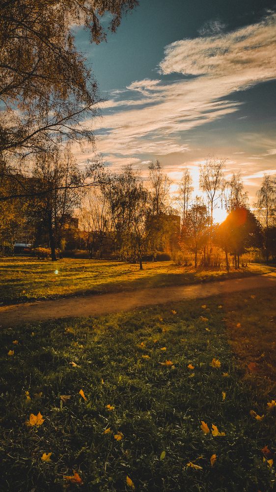Фотография автора Марина Алексеевская