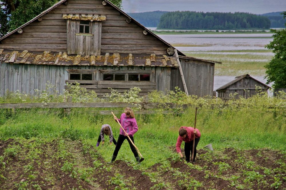 Photograph by Жиляев Евгений