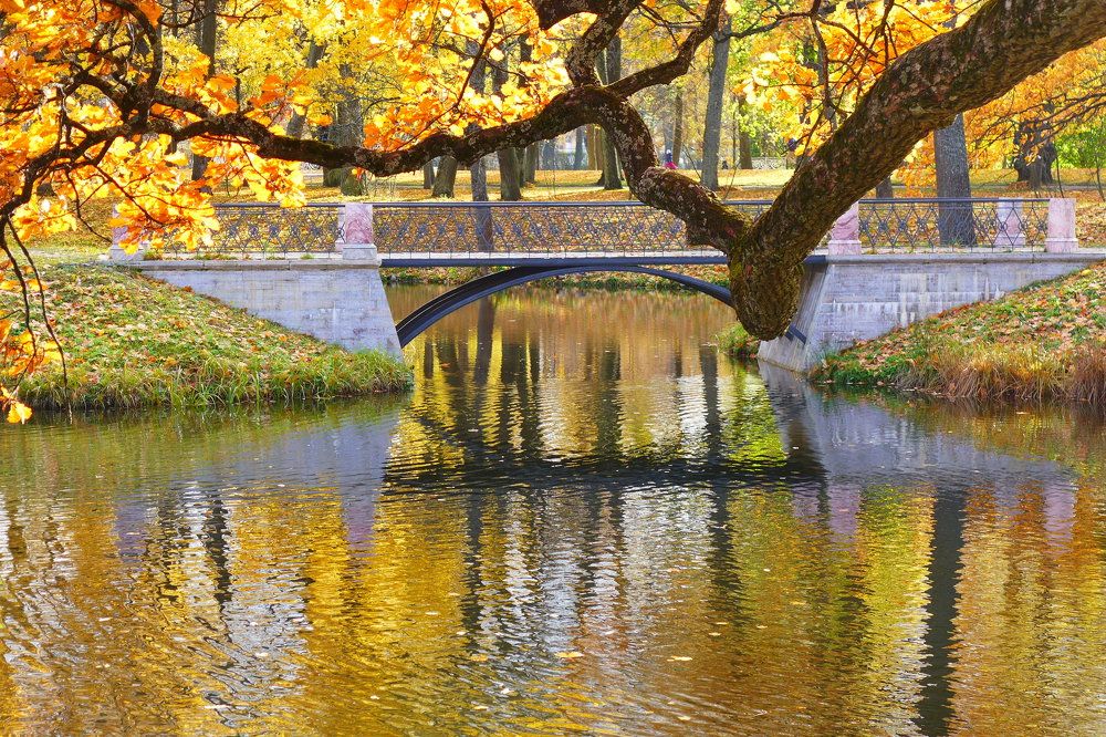 Photograph by Харис Шахмаметьев