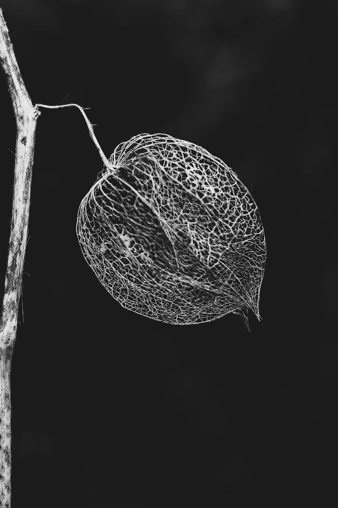 Photograph by Светлана Климова