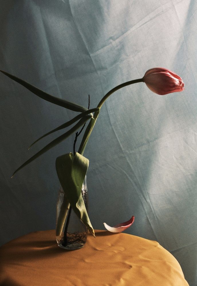 Photograph by Людмила Дорошева