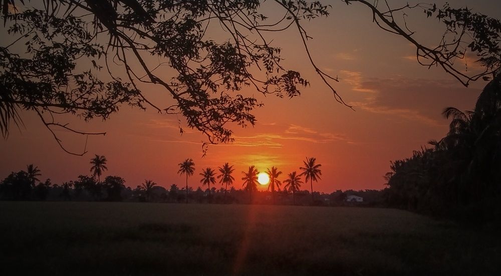 Photograph by Sourav pramanik