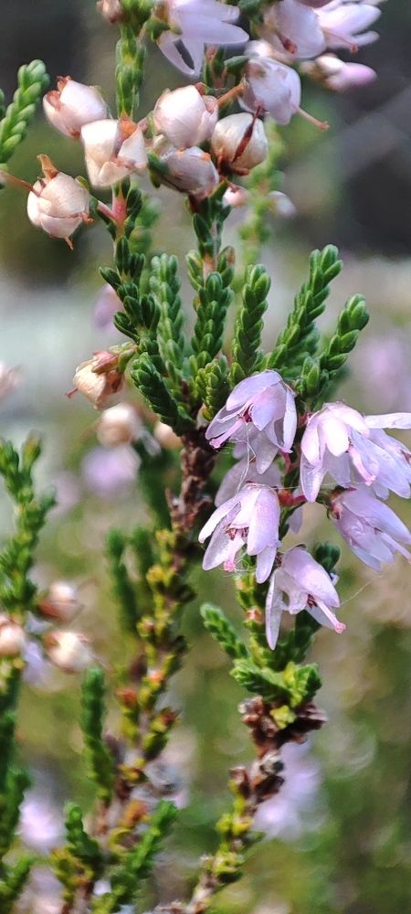 Photograph by Анна Якимова