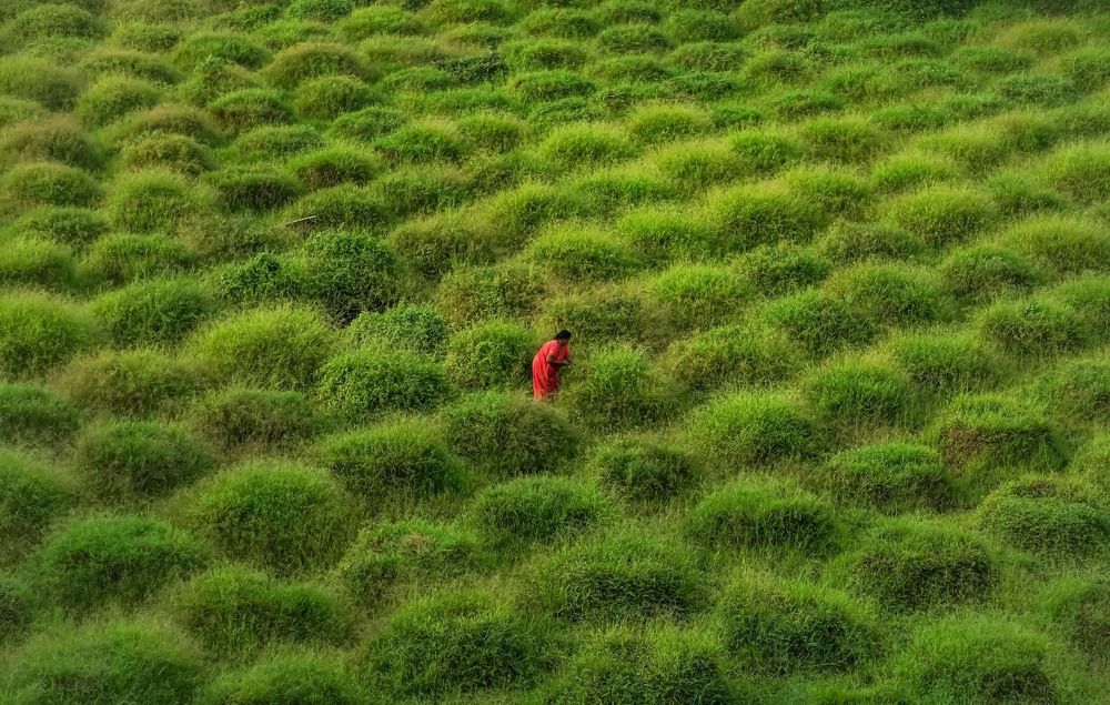 Photograph by Pavitra Shettigar