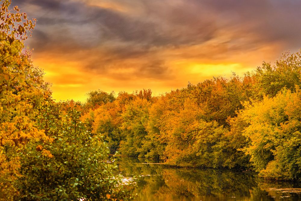 Photograph by Татьяна Биргулиева