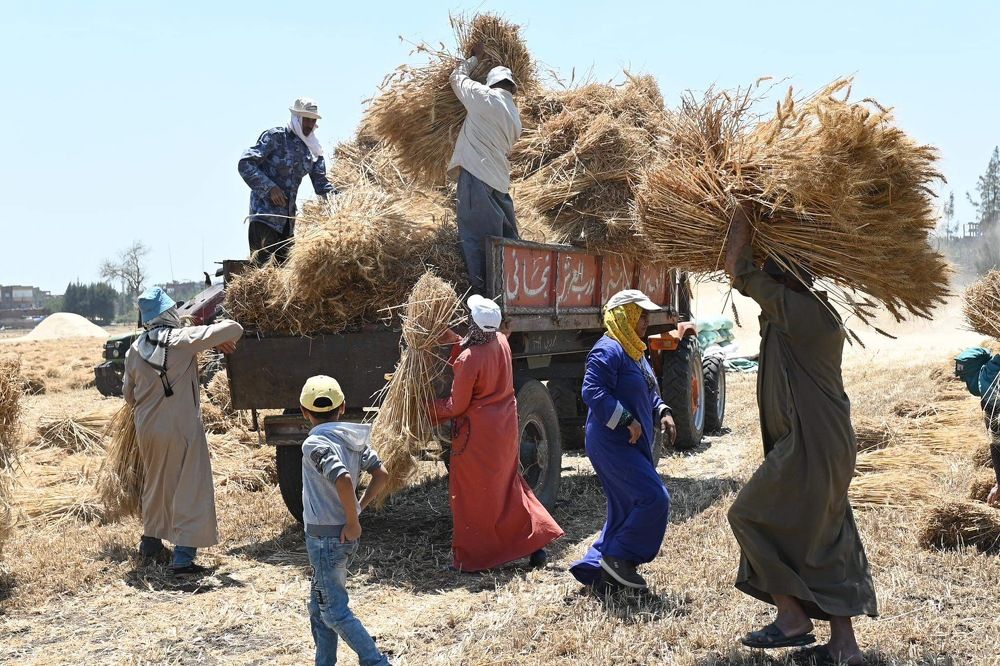 Photograph by  loai zedan