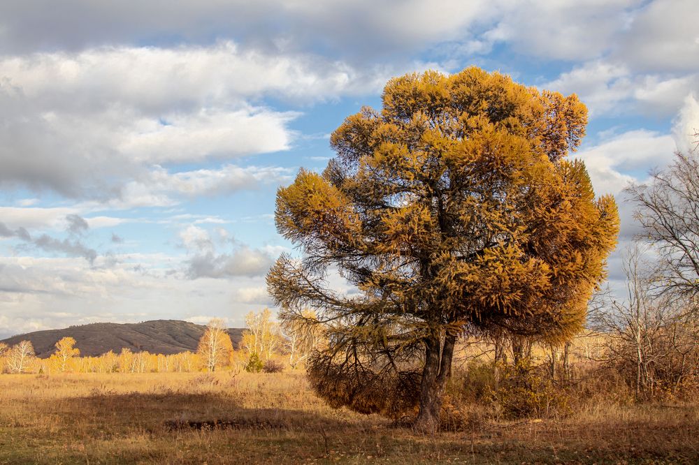 Photograph by Валерий Шорохов