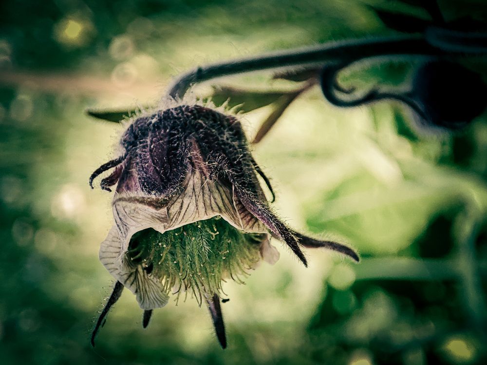 Photograph by Александра Петрова