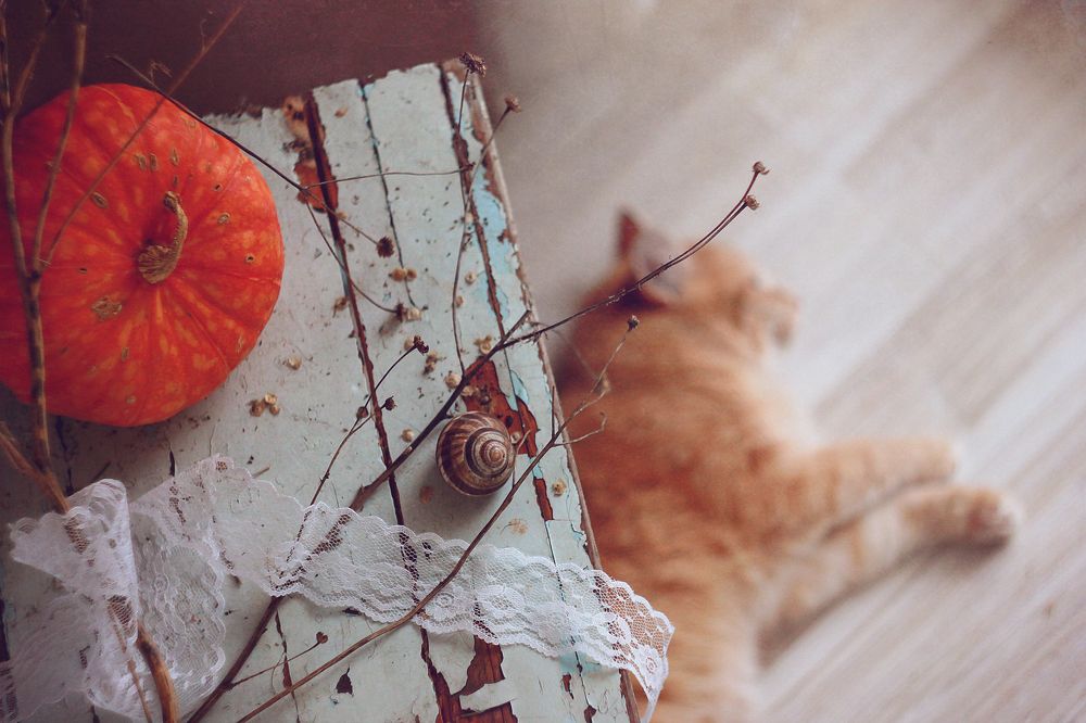 Photograph by Ольга Кочнева