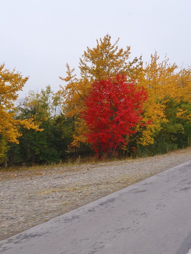 Photograph by Валерия Столбова