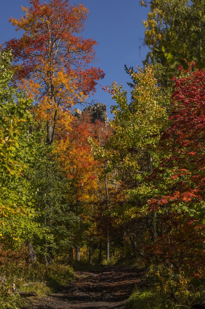 Photograph by Елена Перминова