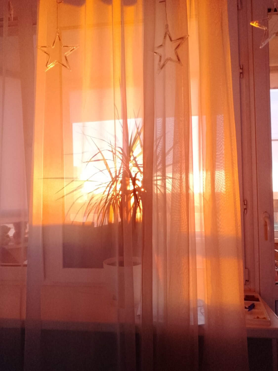 Photo #9566844