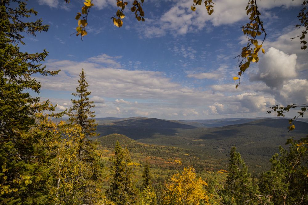 Photograph by Елена Перминова