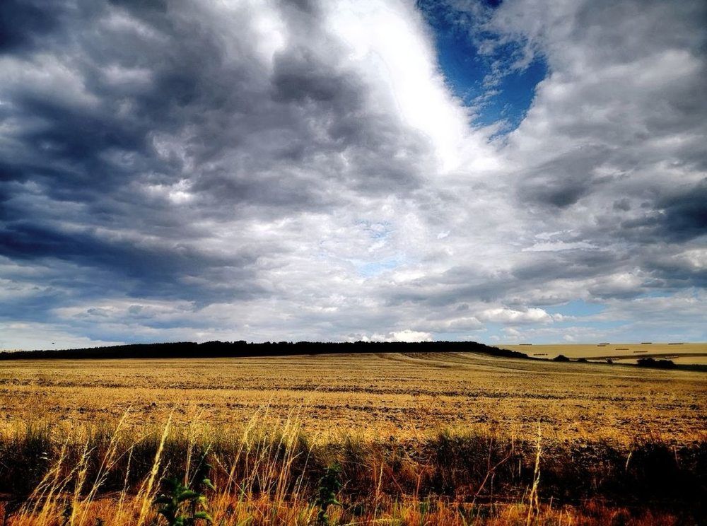 Photograph by Nikolett Mengyi