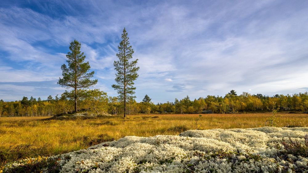 Photograph by Константин Коряков