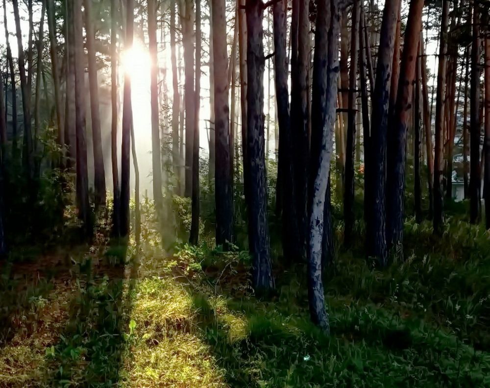 Photograph by НИНА АВЕРЬЯНОВА