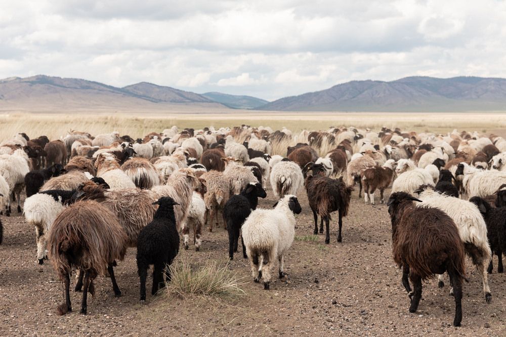 Photograph by Александра Гончаренко