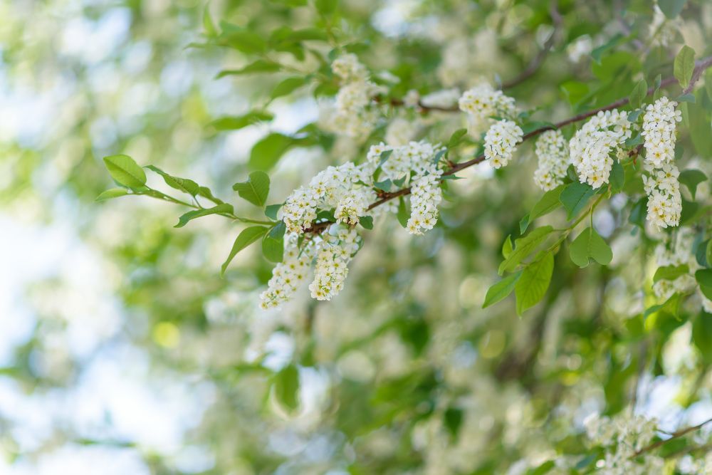 Photograph by Татьяна Биргулиева