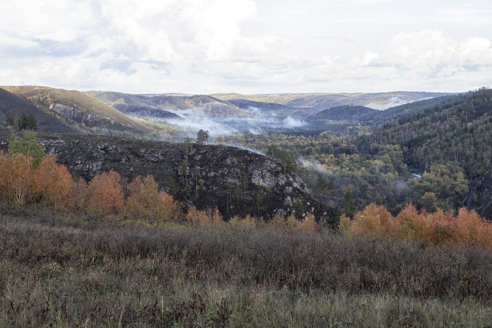 Фотография автора Веста Ягужинская