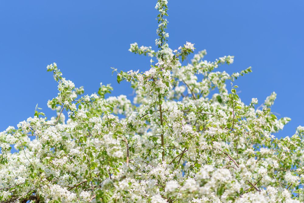 Photograph by Татьяна Биргулиева