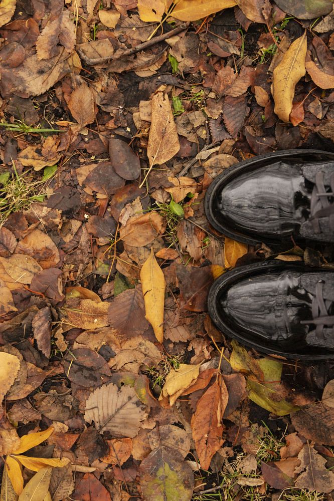 Photograph by ИРЕНА Цурпал